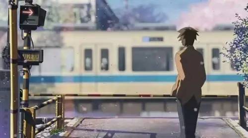 感恩樱花是爱情与希望的象征,樱花飘落的刹那胜过永恒的光辉