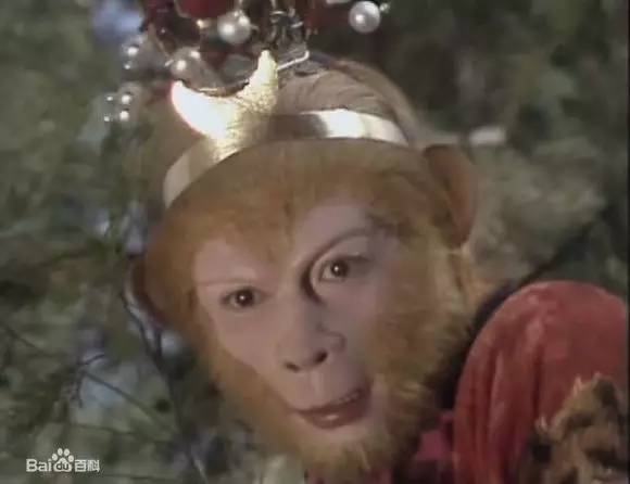 微课堂第三十三期完整版,微课堂第四十八期