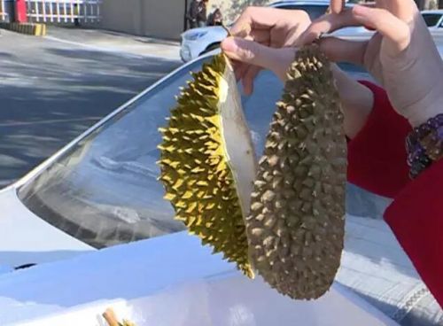 五百多元在长春维元气果坊买个猫山王榴莲不对劲儿老板叫嚣“不骗你上哪赚钱去”