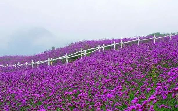 2022年永川的高铁开通了吗,永川到重庆高铁什么时候开通