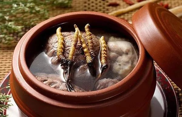 冬虫夏草养生酒的功效,冬虫夏草不抗癌