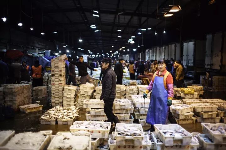 上海去哪里吃实惠而又正宗的海鲜,上海哪里的海鲜又便宜又好吃