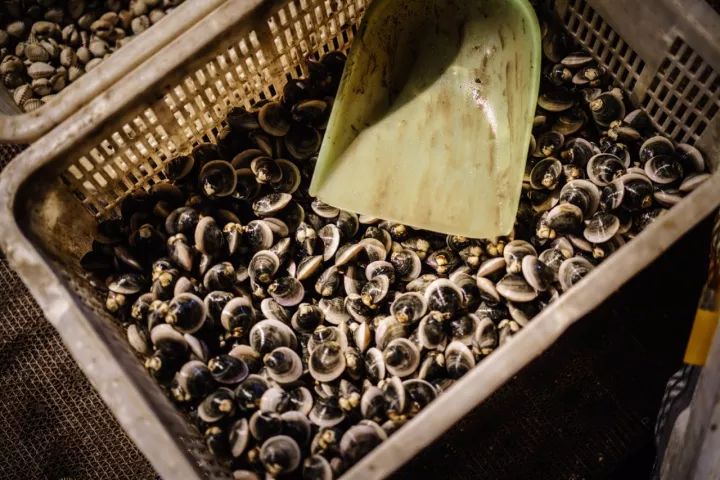 上海去哪里吃实惠而又正宗的海鲜,上海哪里的海鲜又便宜又好吃