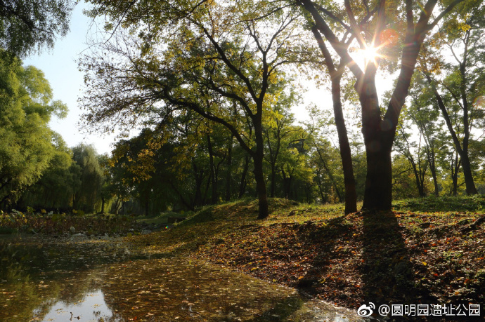 【图赏】圆明风光：光影斑驳重焕光彩