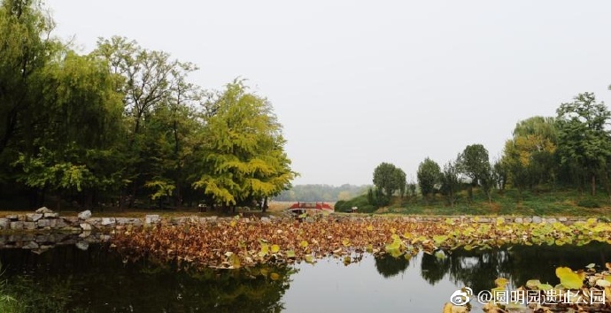 【图赏】圆明风光：光影斑驳重焕光彩