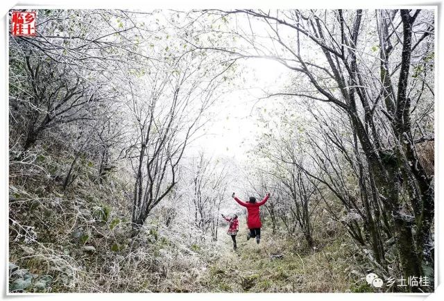 建立国家公园的发展思路,黄沙瑶族乡最新规划