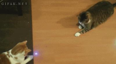 小孩玩激光笔照瞎了,男童玩激光笔已经眼睛受伤视频