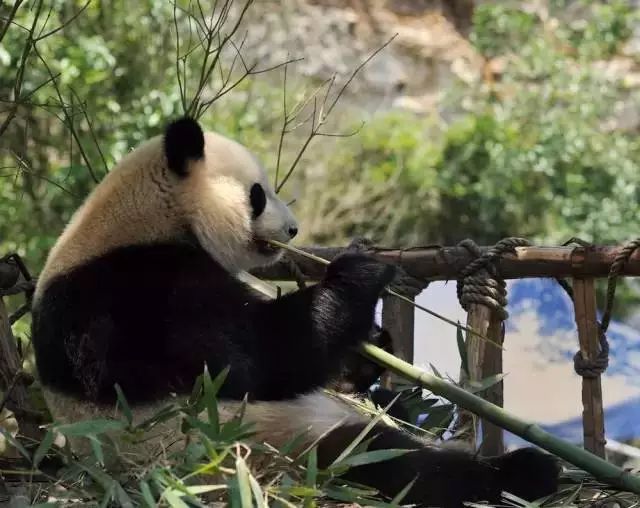 2022年永川的高铁开通了吗,永川到重庆高铁什么时候开通