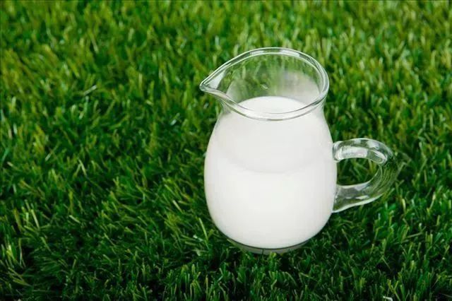 镉大米事件新闻2013年,2013湖南镉大米事件