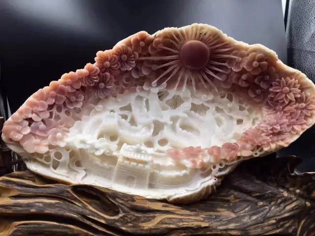 价值暴涨的收藏品,砗磲升值空间有多大