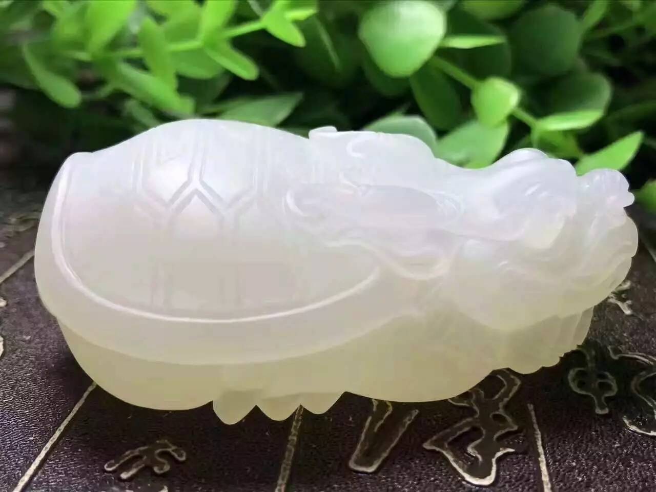 价值暴涨的收藏品,砗磲升值空间有多大