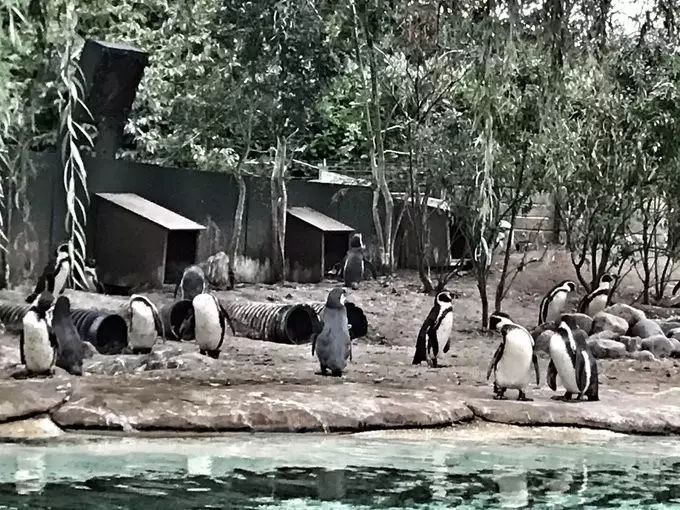 伦敦你不知道的地方,不可不去的伦敦