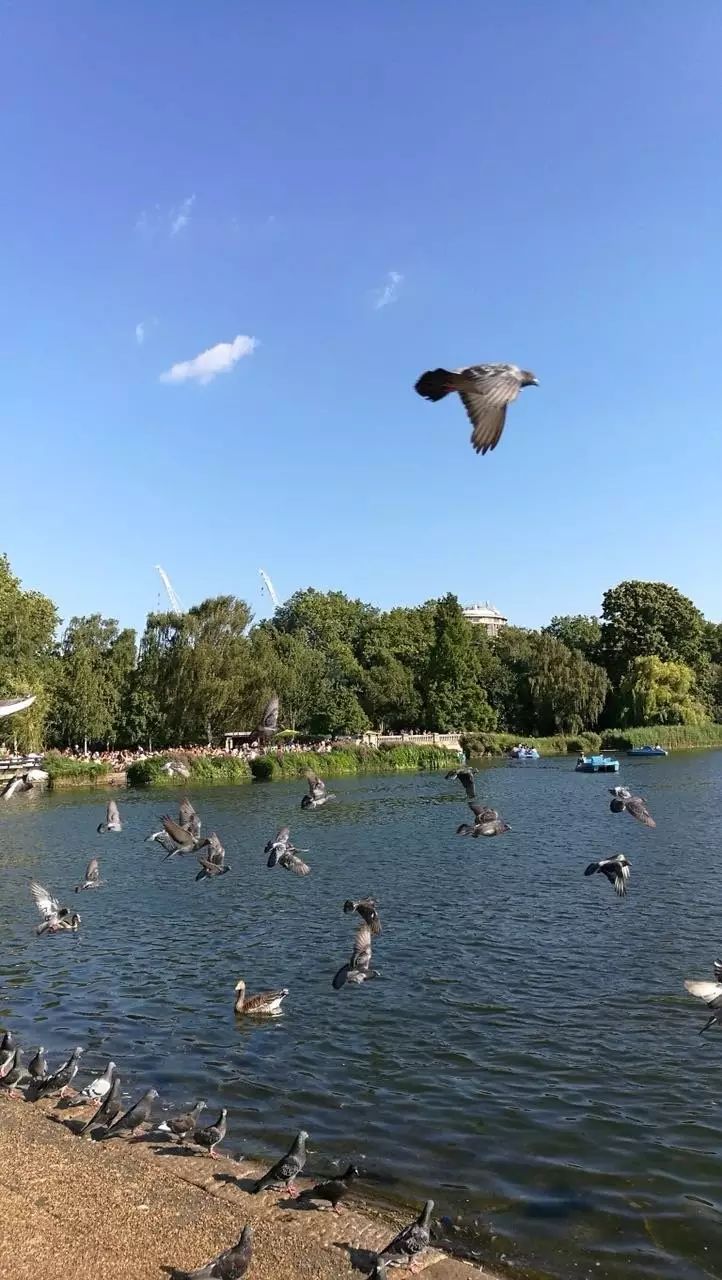 伦敦你不知道的地方,不可不去的伦敦