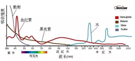 知美丨年会、同学会、相亲会……年底这么忙,你准备好了吗?