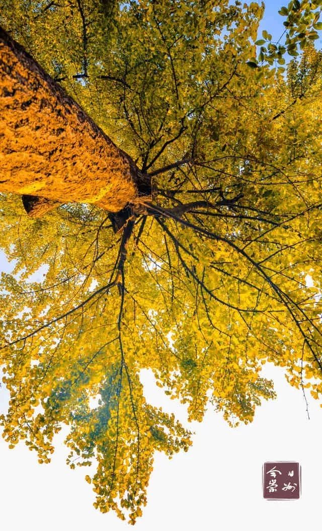 罨画池值得玩吗,罨画池有什么文物