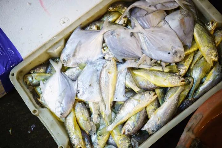 上海去哪里吃实惠而又正宗的海鲜,上海哪里的海鲜又便宜又好吃