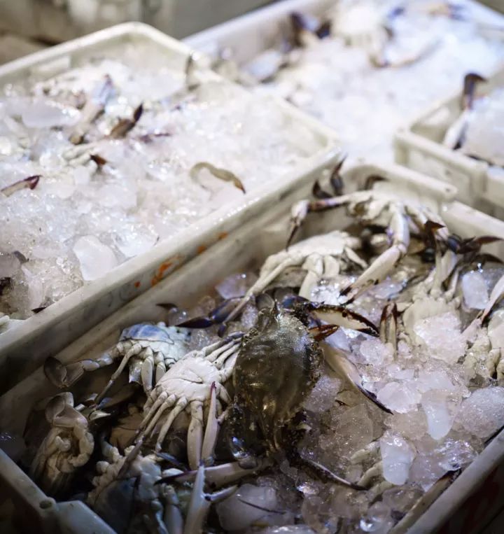 上海去哪里吃实惠而又正宗的海鲜,上海哪里的海鲜又便宜又好吃