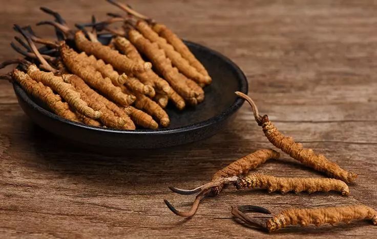 冬虫夏草养生酒的功效,冬虫夏草不抗癌