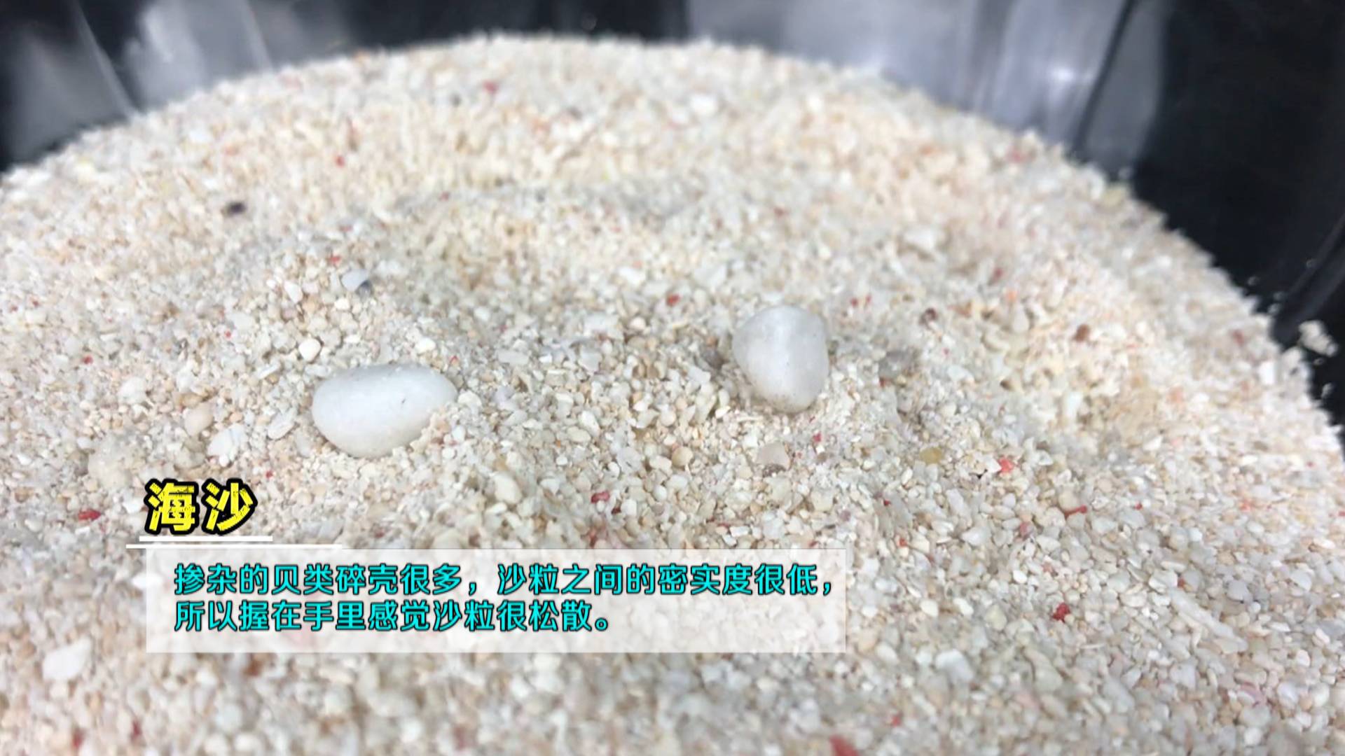 沙子和水泥怎么判断好坏,沙子的基本知识