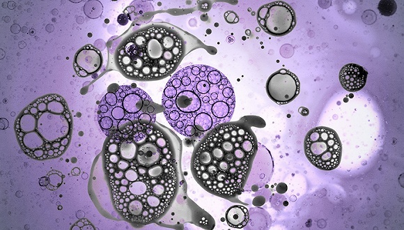 镉大米事件新闻2013年,2013湖南镉大米事件