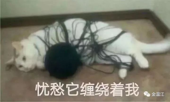 毫不夸张的说，我的脱发有救了~牵手国内外顶级机构，四川省精神医学中心在温江成立！