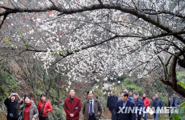 强镇扩权什么意思,强镇扩权