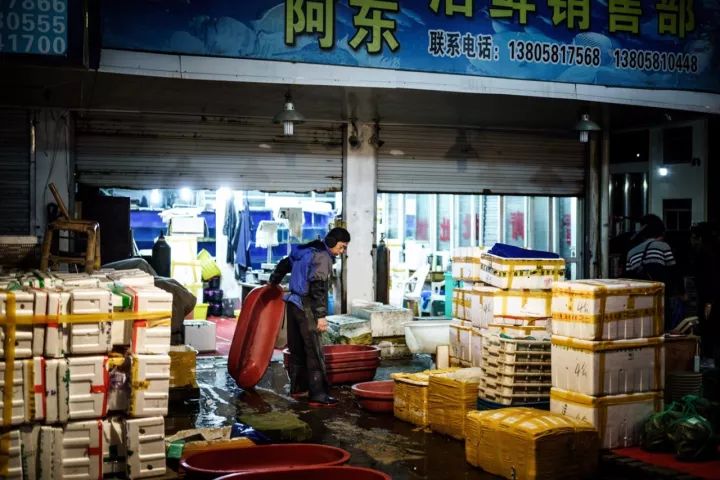 上海去哪里吃实惠而又正宗的海鲜,上海哪里的海鲜又便宜又好吃