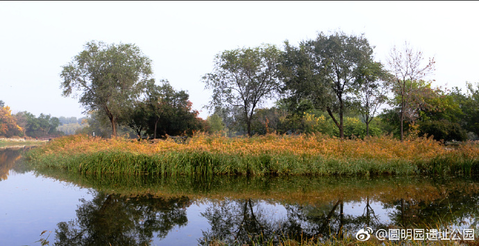 【图赏】圆明风光：光影斑驳重焕光彩
