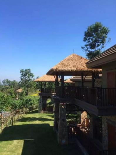 周末都去哪里露营,周末野营去哪里好玩