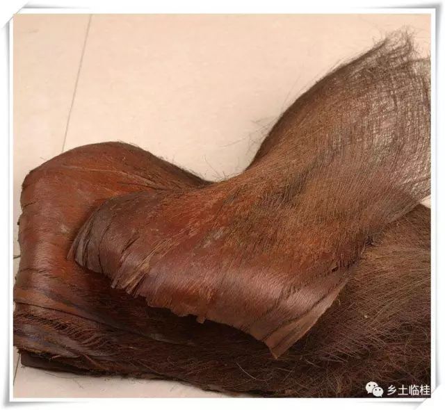 建立国家公园的发展思路,黄沙瑶族乡最新规划