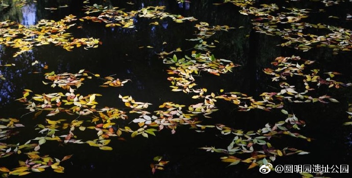 【图赏】圆明风光：光影斑驳重焕光彩