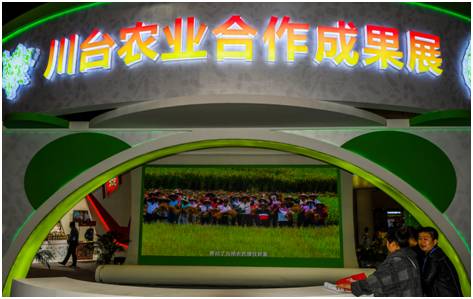 成都特色农产品亮相四川农博会,四川农业博览会农产品
