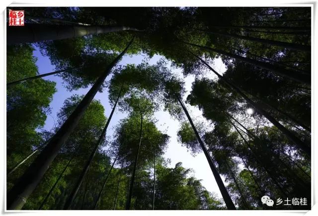 建立国家公园的发展思路,黄沙瑶族乡最新规划