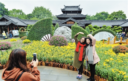 第八届青秀山菊花展夜间活动,广西南宁青秀山景区10万余盆菊花