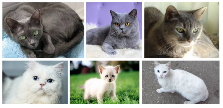 关于ai你需要了解的四个实情,关于ai的深度思考