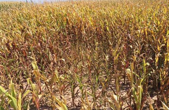 八宝琉璃井遗迹,琉璃井神奇故事