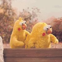 姐妹们化妆品,新西兰进口奶粉为什么便宜