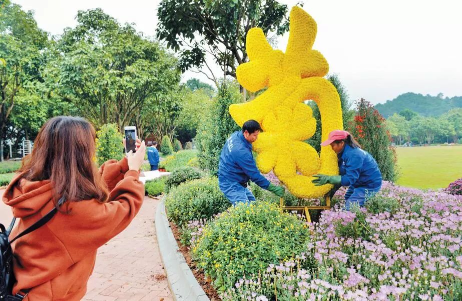 第八届青秀山菊花展夜间活动,广西南宁青秀山景区10万余盆菊花