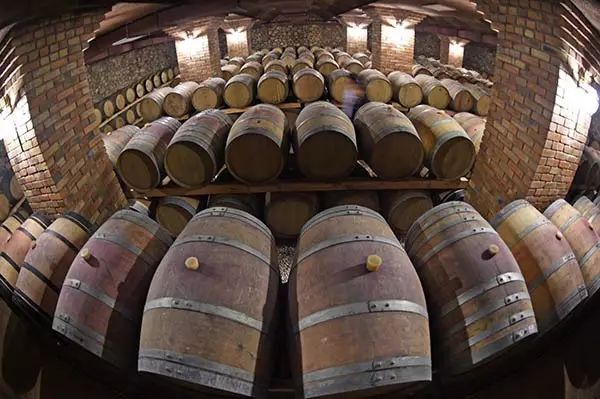 冬天银川一日游必去景点,银川周边一日游最值得玩的地方