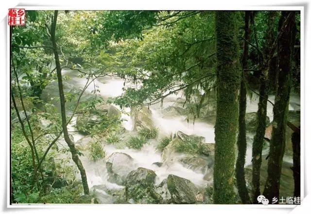 建立国家公园的发展思路,黄沙瑶族乡最新规划