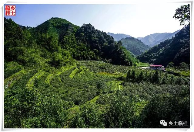 建立国家公园的发展思路,黄沙瑶族乡最新规划