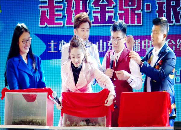 坑！翠霞游戏“陷黑洞”？帅！荧屏又见“四天王”！