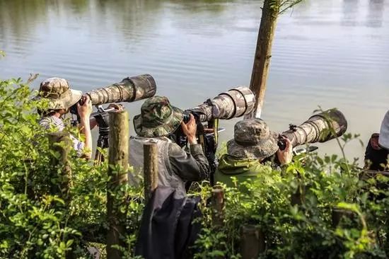 摄影圈里的黑话有哪些,摄影圈你知道哪些黑话