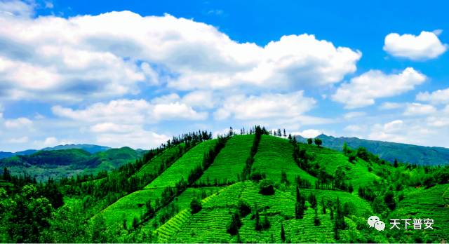 「荐读」尊敬的井冈山，我们来了——普安县2017年非公有制经济培训班学习侧记