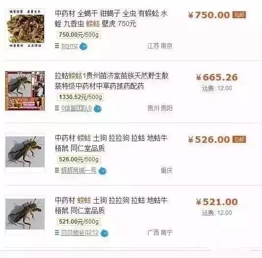 农村这种野货一斤能卖4000元,300元一斤农村常见的东西每家都有