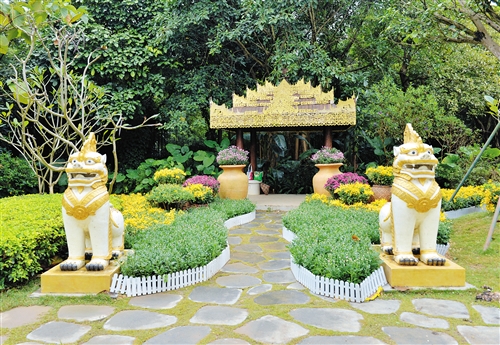 第八届青秀山菊花展夜间活动,广西南宁青秀山景区10万余盆菊花