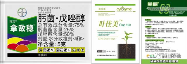 番茄坐果不好怎么办,番茄坐果少怎么补