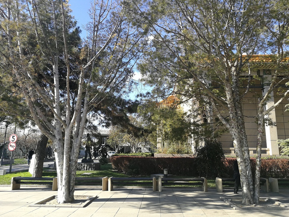 豆瓣日记:20171122中国美术馆：本想看白石，却意外收获了一箩筐的白俄