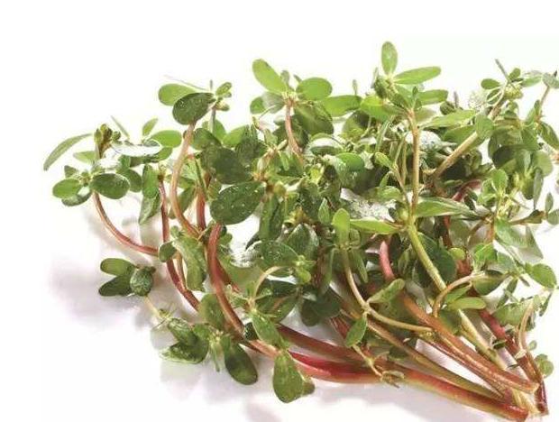 经常喝红豆薏米粥对身体好不好呢,男孩长期喝红豆薏米粥