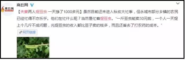 农村这种野货一斤能卖4000元,300元一斤农村常见的东西每家都有